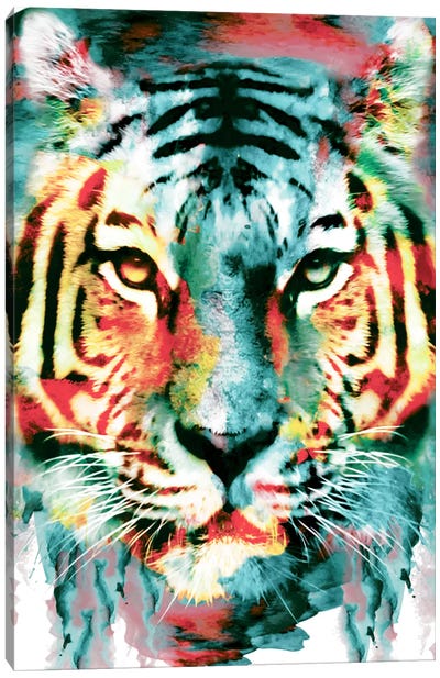 Tiger II Canvas Art Print - Riza Peker