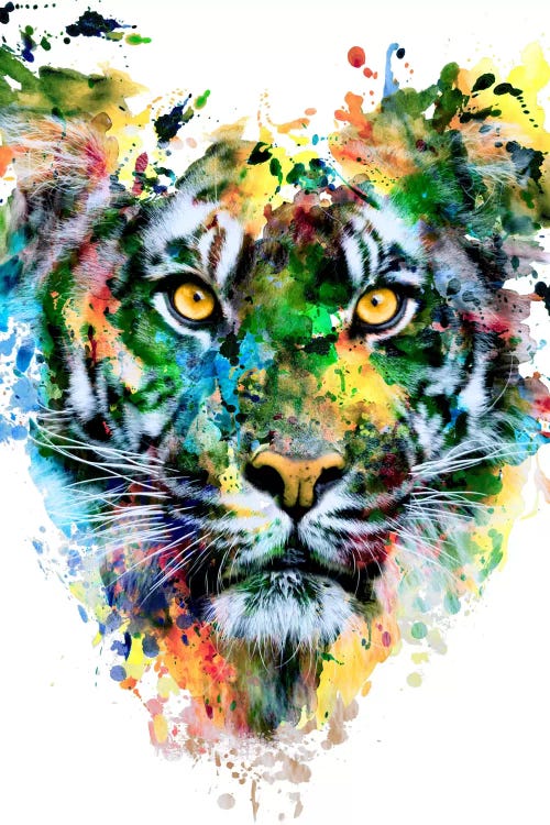 Tiger IV