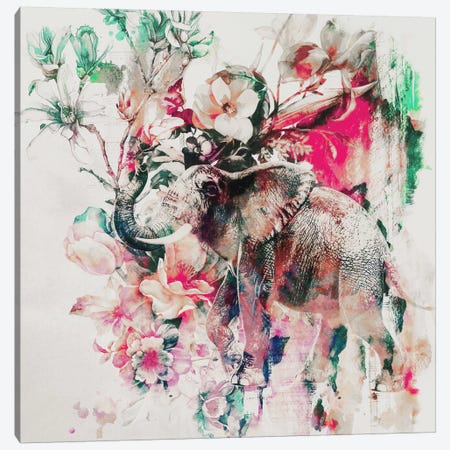 Watercolor Elephant And Flowers Canvas Print #PEK69} by Riza Peker Canvas Artwork