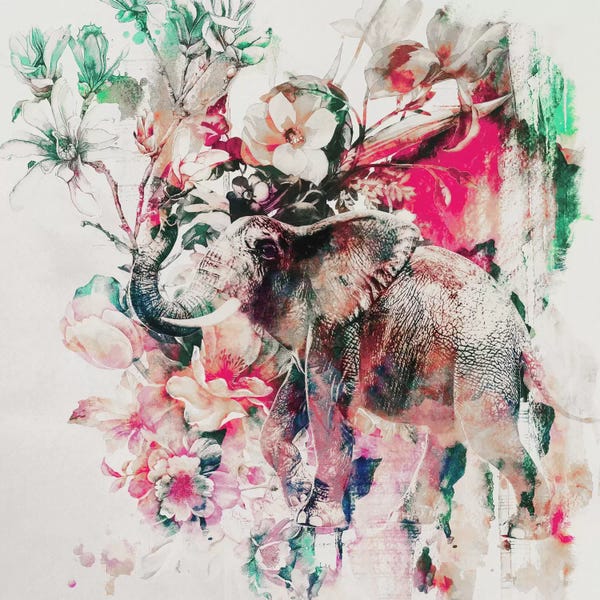 Elephants: Watercolor Elephant And Flowers by Riza Peker