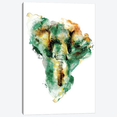 Wild Africa Canvas Print #PEK70} by Riza Peker Art Print