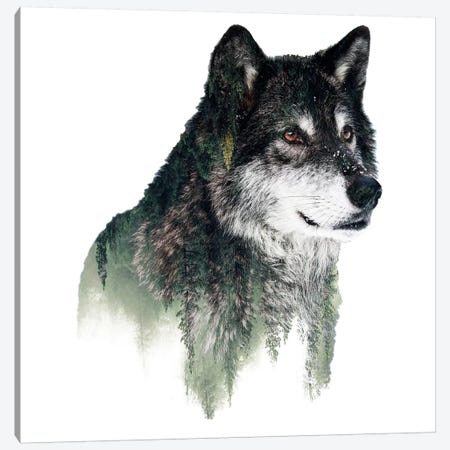 Wolf I Canvas Print #PEK71} by Riza Peker Canvas Print