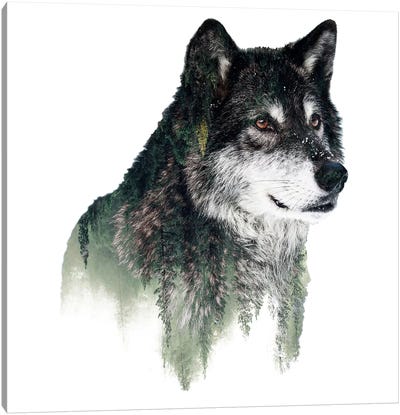 Wolf I Canvas Art Print - Riza Peker