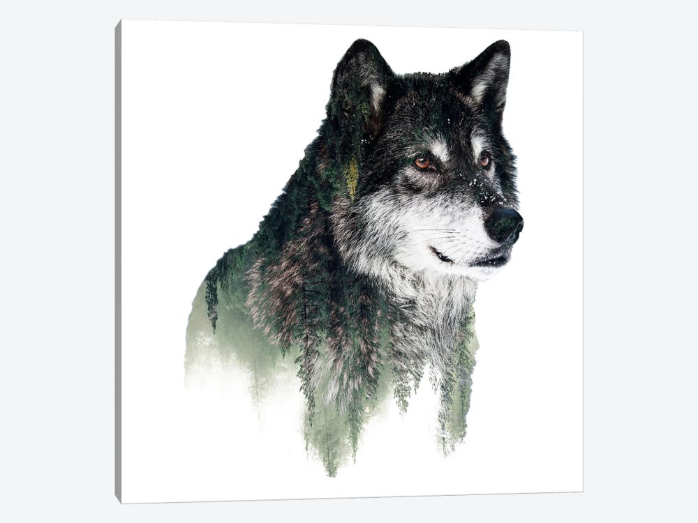 Wolf I by Riza Peker 1-piece Canvas Print