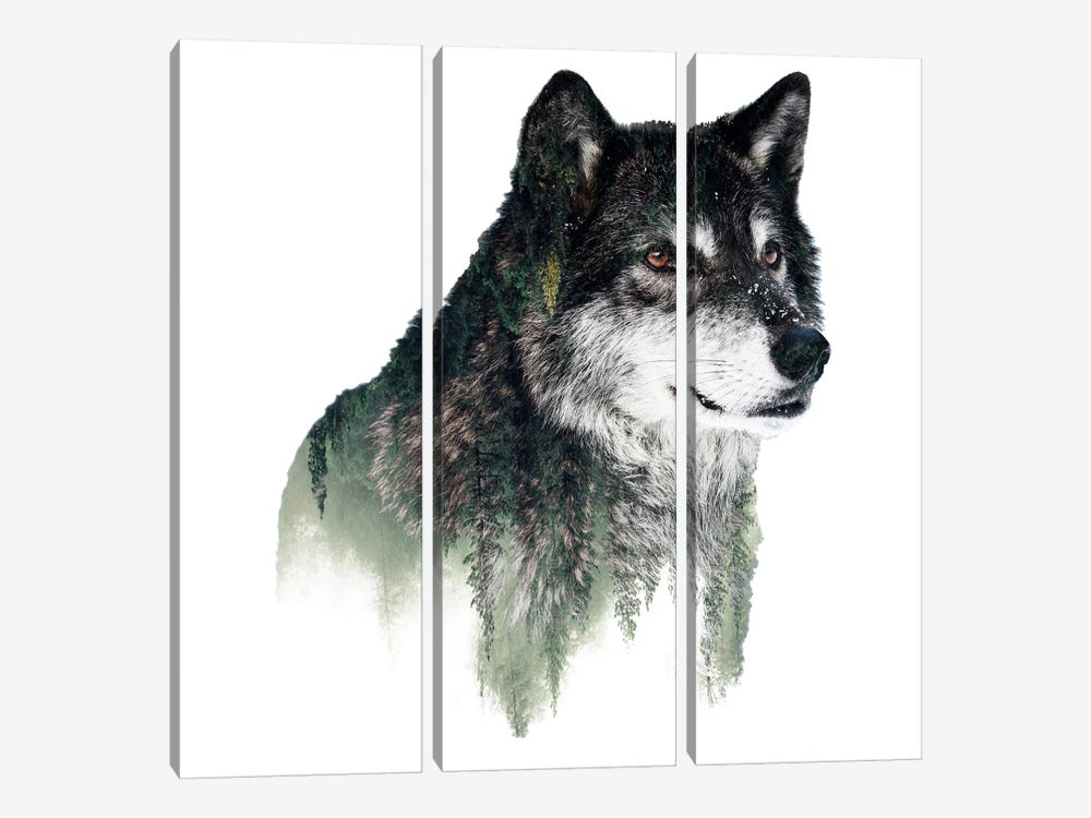 Wolf I by Riza Peker 3-piece Canvas Art Print
