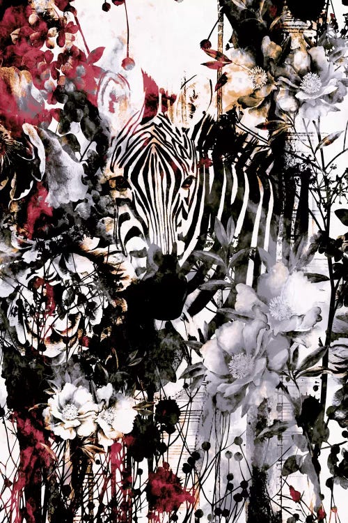 Zebra by Riza Peker wall art