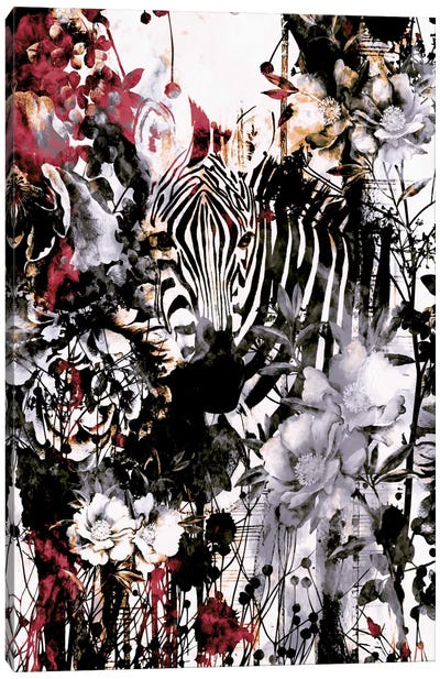 Zebra Canvas Art Print - Riza Peker