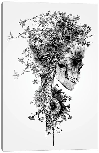 Skull B&W Canvas Art Print - Horror Art
