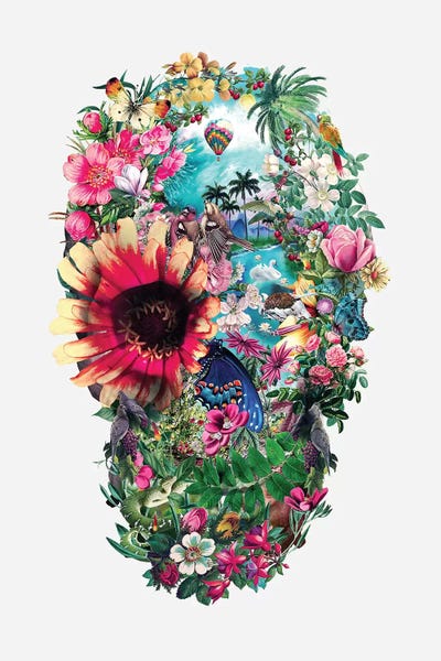 Skulls: Summer Skull II by Riza Peker