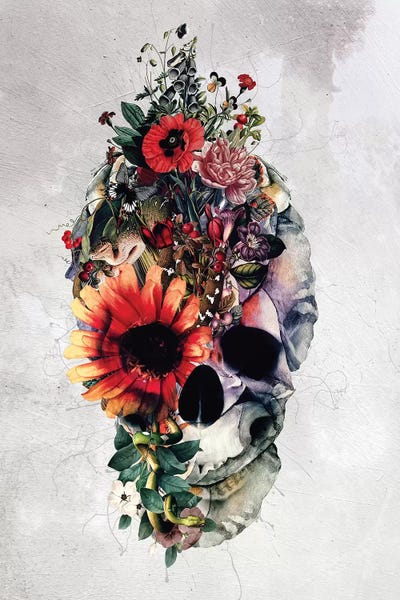 Skulls: Two Face Skull by Riza Peker