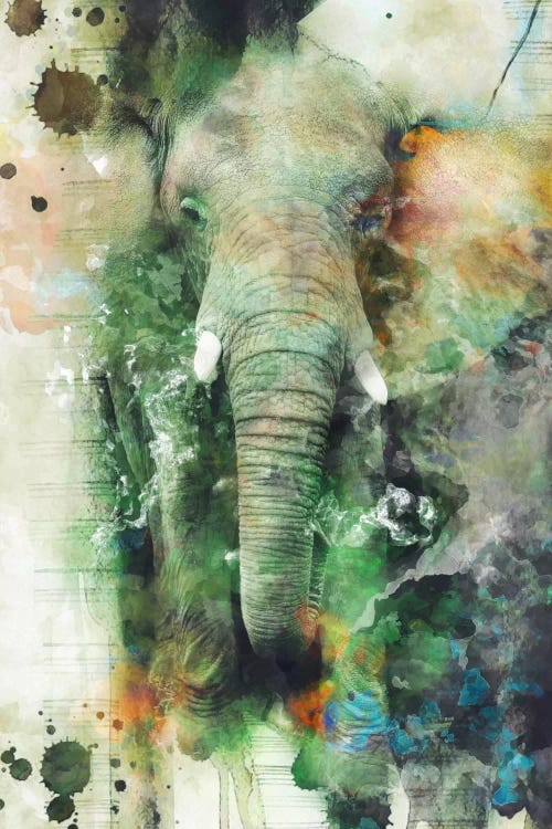 Elephant by Riza Peker wall art