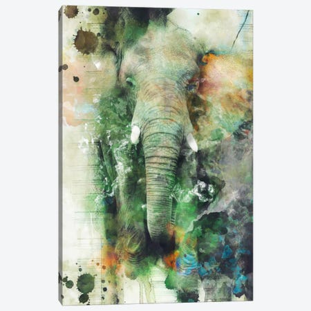 Elephant Canvas Print #PEK7} by Riza Peker Canvas Print