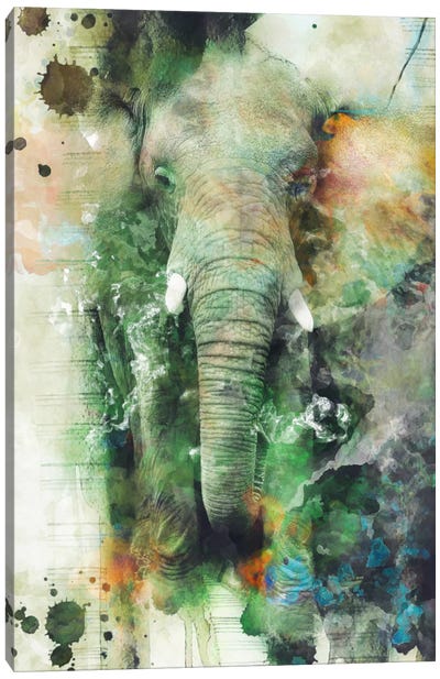 Elephant Canvas Art Print - Riza Peker