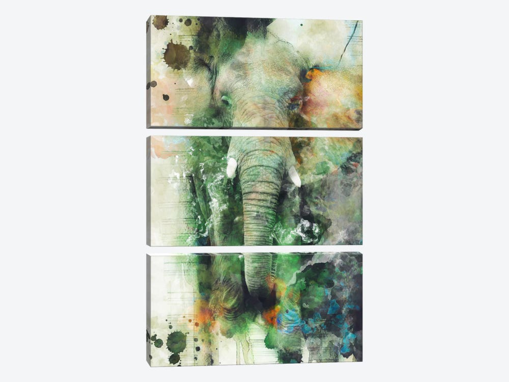 Elephant by Riza Peker 3-piece Canvas Art Print