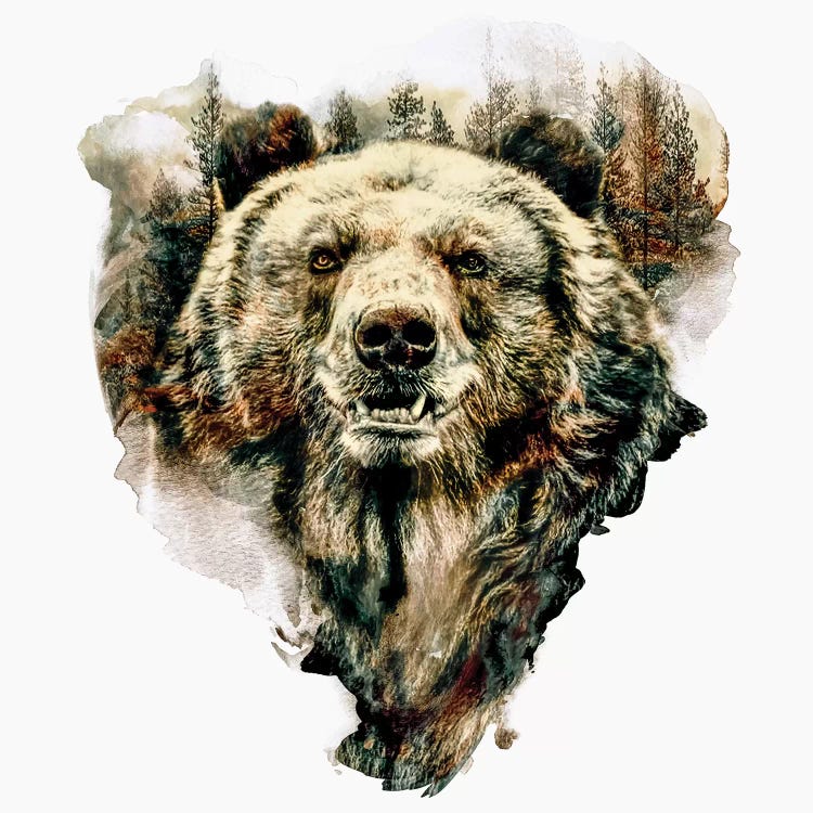Bear by Riza Peker wall art