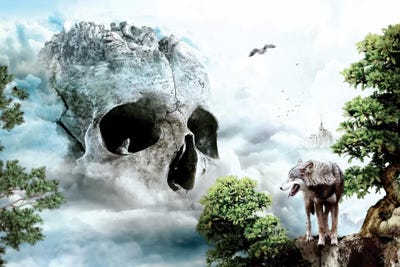 Cloudy Path by Riza Peker art print