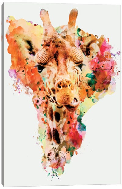 Giraffe Canvas Art Print - Riza Peker