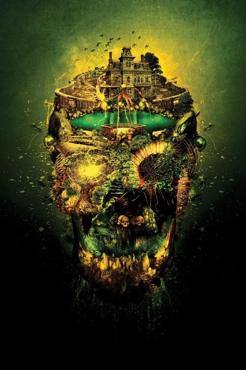 Haunted Skull II by Riza Peker wall art