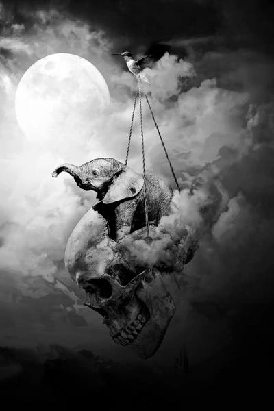 Elephants: Journey by Riza Peker