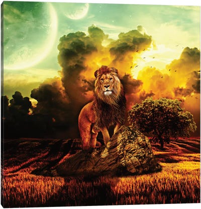 Lion V Canvas Art Print - Riza Peker