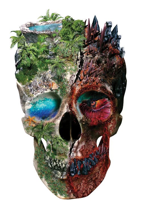 Metamorphosis by Riza Peker wall art