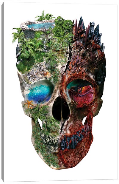 Metamorphosis Canvas Art Print - Environmental Conservation Art