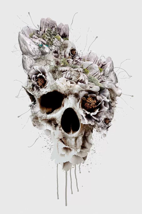 Skull Castle II by Riza Peker wall art