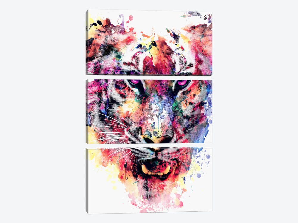Eye Of The Tiger by Riza Peker 3-piece Canvas Print