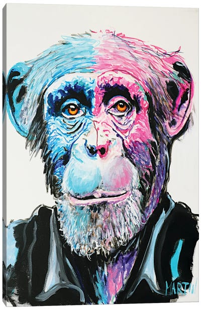 Chimpanzee Canvas Art Print - Peter Martin