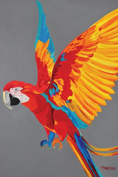 Parrots: Ara by Peter Martin