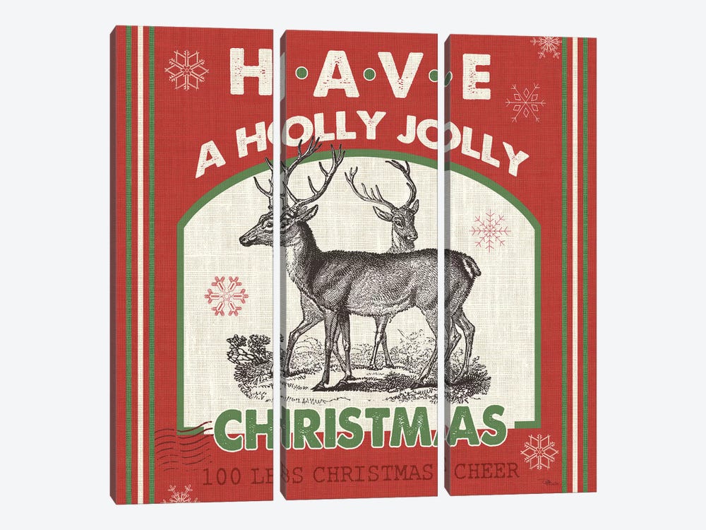 Have A Holly Jolly Christmas II by Pela Studio 3-piece Canvas Art Print
