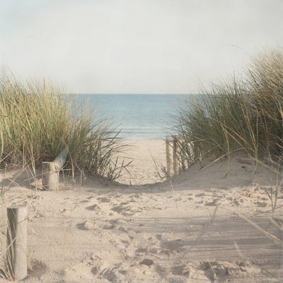 Beach Grasses by Pela Studio canvas print