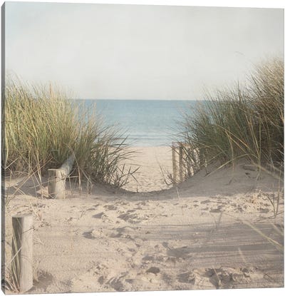 Beach Grasses Canvas Art Print - Pela Studio
