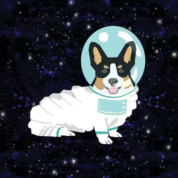 Corgi Tricolored Spacedog