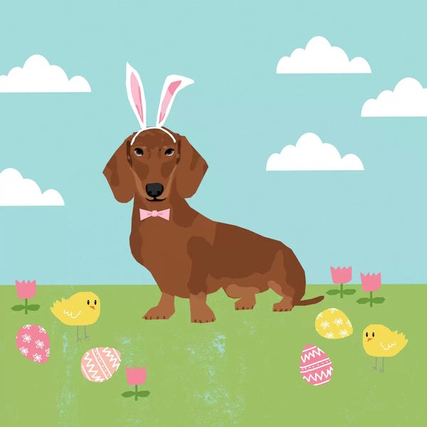 Dachshunds: Dachshund Red Easter  by Pet Friendly