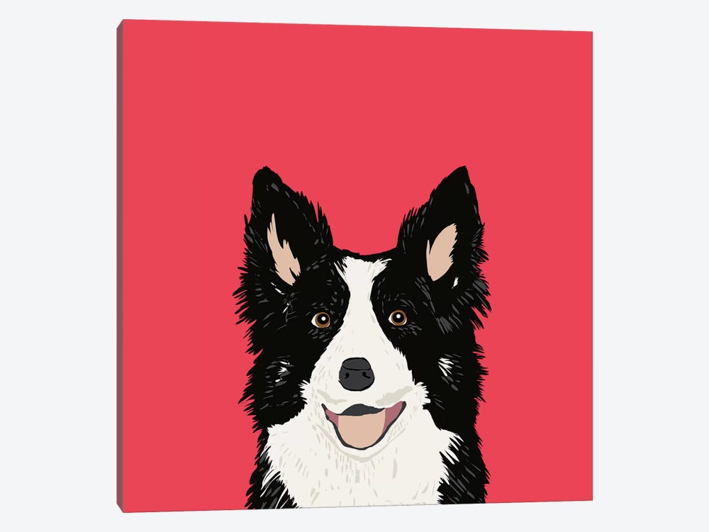are border collies friendly