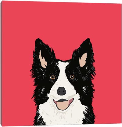 Border Collie Canvas Art Print - Pet Friendly