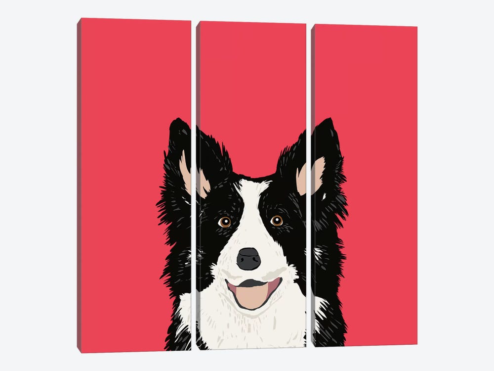 Border Collie by Pet Friendly 3-piece Canvas Print