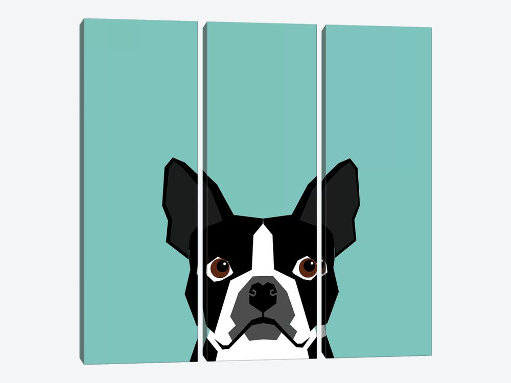 Boston Terrier Canvas Art Print by Pet Friendly | iCanvas