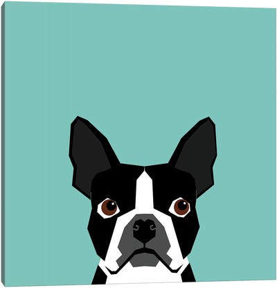 Boston Terrier Canvas Art Print - Pet Industry