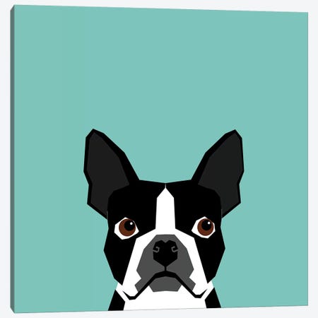 Boston Terrier Canvas Print #PET13} by Pet Friendly Canvas Artwork