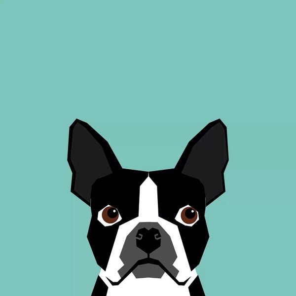 Terriers: Boston Terrier by Pet Friendly