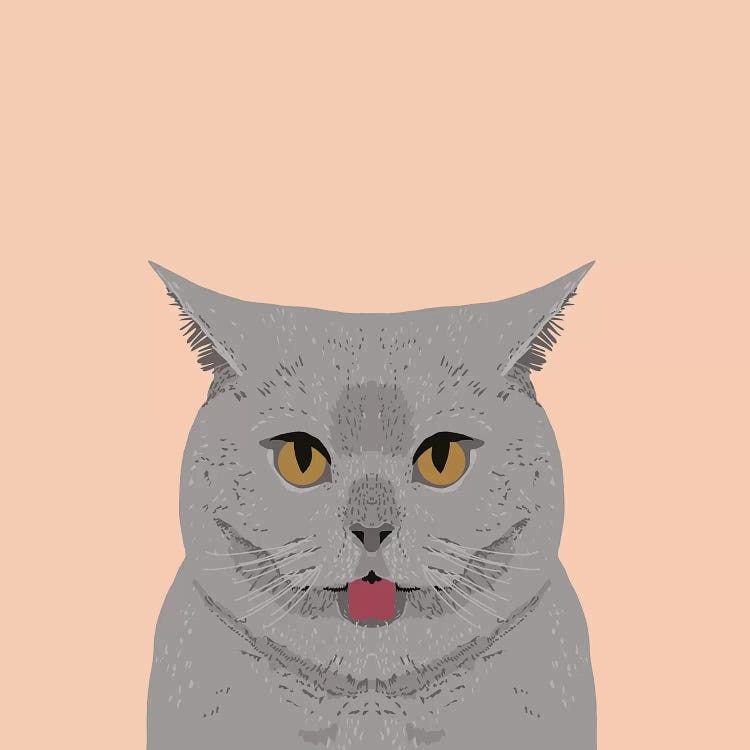 British Shorthair by Pet Friendly wall art