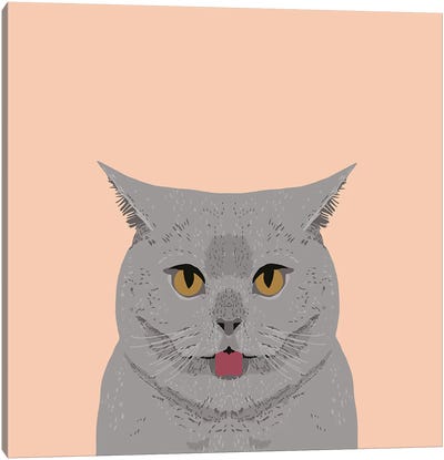 British Shorthair Canvas Art Print - British Shorthair Cat Art