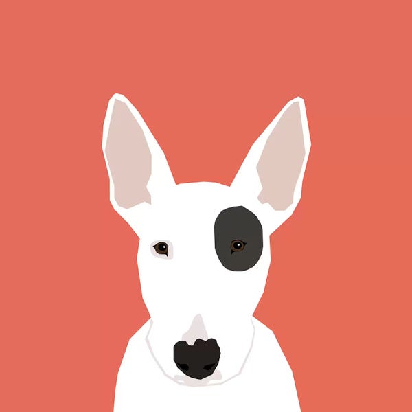 Terriers: Bull Terrier by Pet Friendly