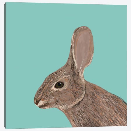 Bunny Canvas Print #PET19} by Pet Friendly Canvas Art