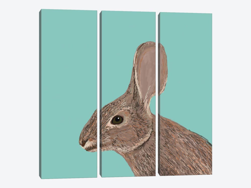 Bunny by Pet Friendly 3-piece Canvas Wall Art