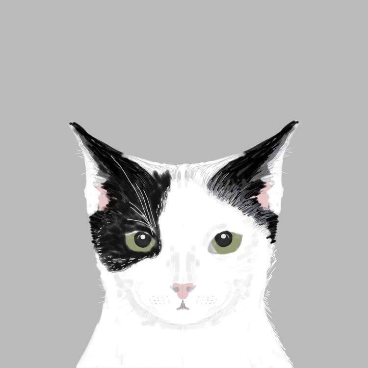 Bag Cat 25cm in white Monogram canvas on black backgro…
