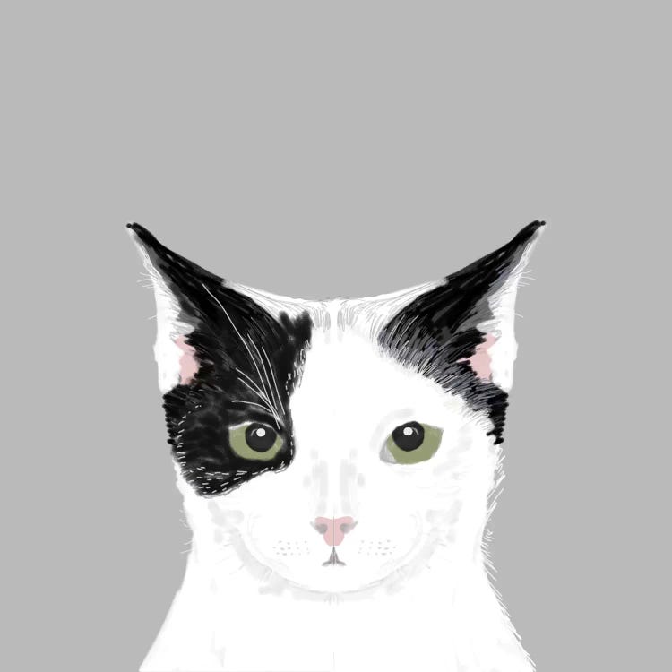 Cat (Black & White) by Pet Friendly wall art