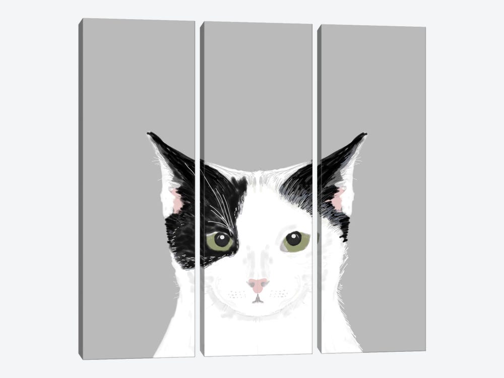 Cat (Black & White) by Pet Friendly 3-piece Canvas Wall Art